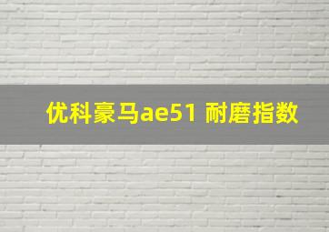 优科豪马ae51 耐磨指数